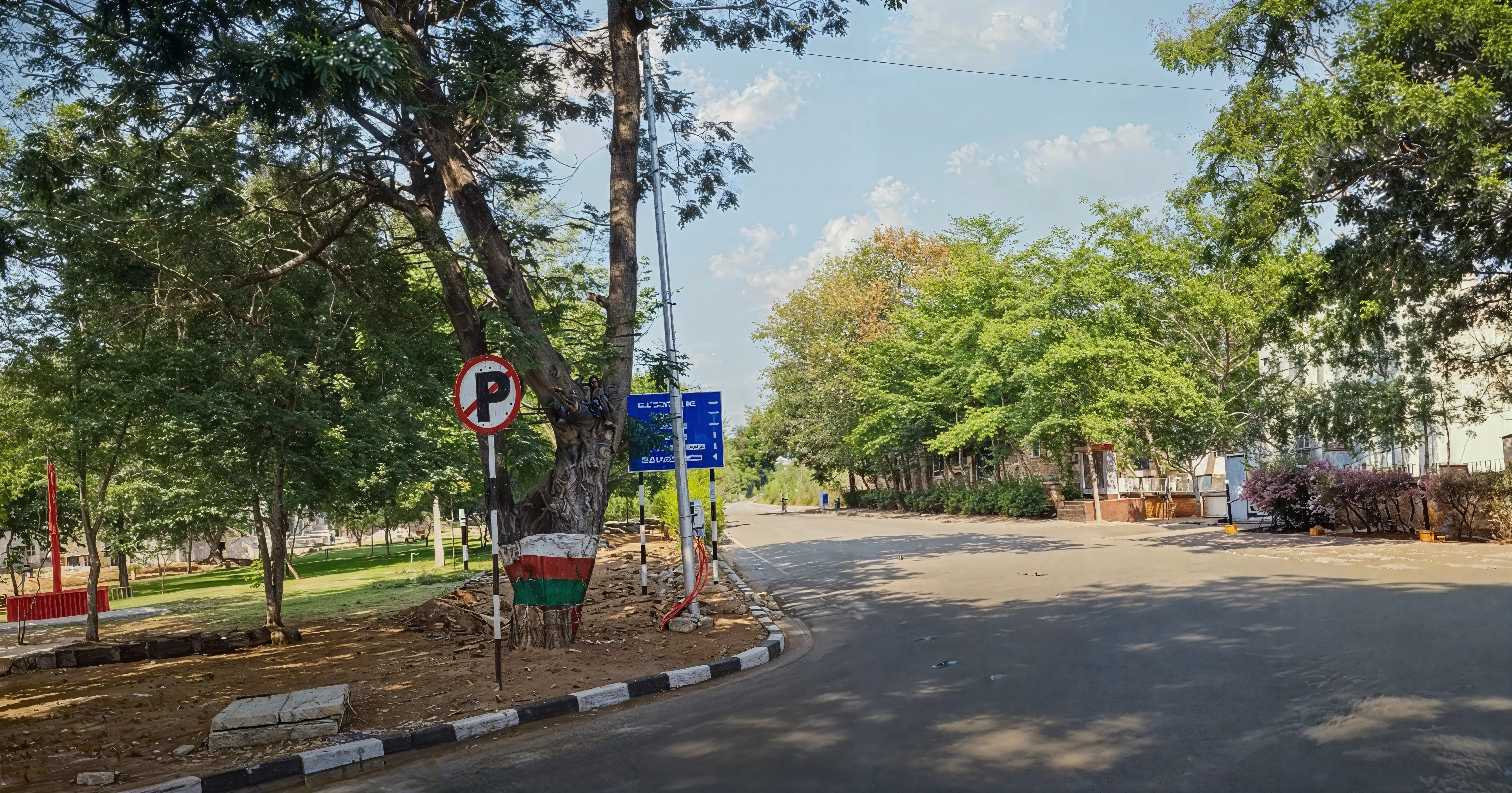 NIT Warangal Campus photo 15